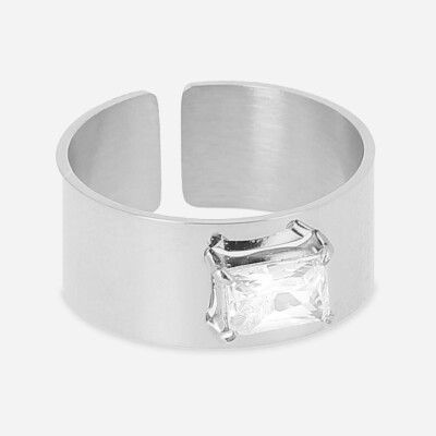 Bague ZAG en acier et oxydes de zirconium