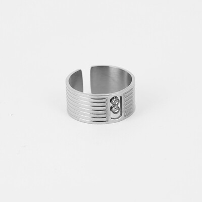 Bague ZAG en acier et oxydes de zirconium