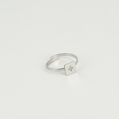 Bague ZAG en acier et oxydes de zirconium