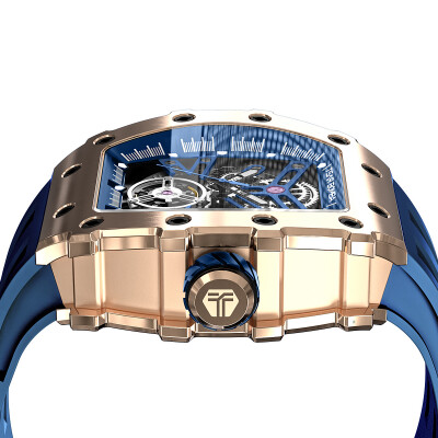 Montre Tsar Bomba Elemental Collection TB8208A-17