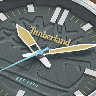 Montre Timberland Rambush TDWGA0029605