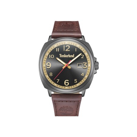 Montre Timberland Actwell TDWGB0028602