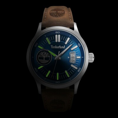 Montre Timberland Trumbull TDWGB0041005