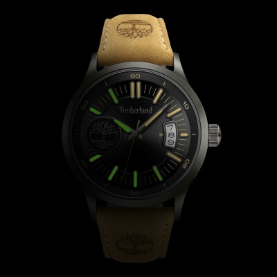 Montre Timberland Trumbull TDWGB0041006