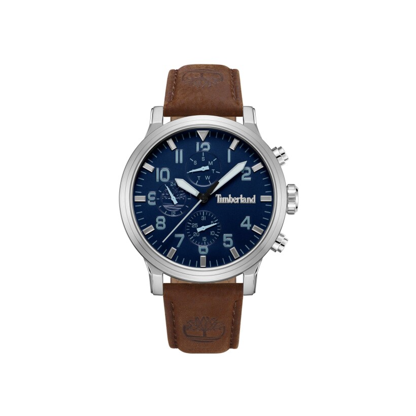 Montre Timberland Driscoll TDWGF0040702