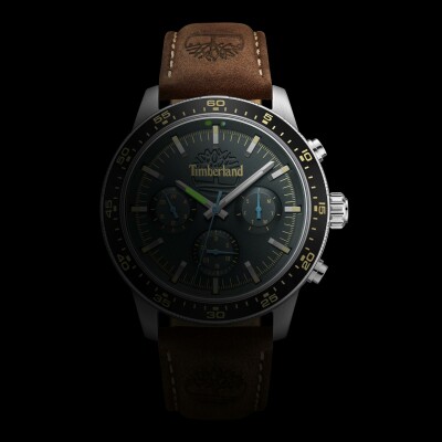 Montre Timberland Parkman TDWGF0041301