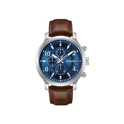 Montre Timberland Driscoll TDWGF0055702