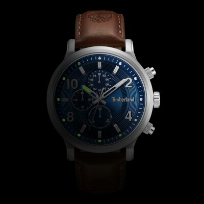 Montre Timberland Driscoll TDWGF0055702