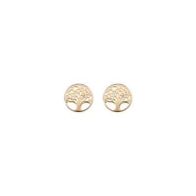 Boucles d'oreilles tige argent et dorure jaune arbre de vie