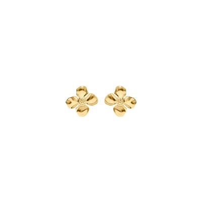 Boucles d'oreilles tige acier doré jaune fleur dim 37 x 37