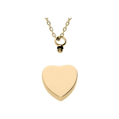 Collier acier et pvd doré 