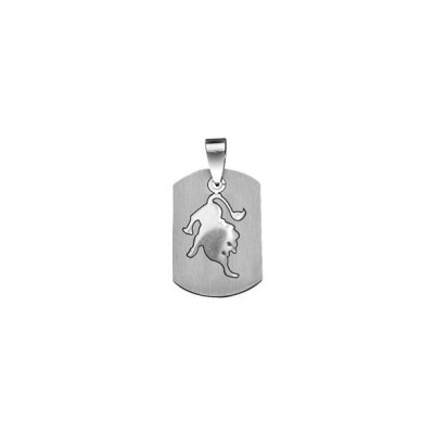 Pendentif zodiaque acier lion