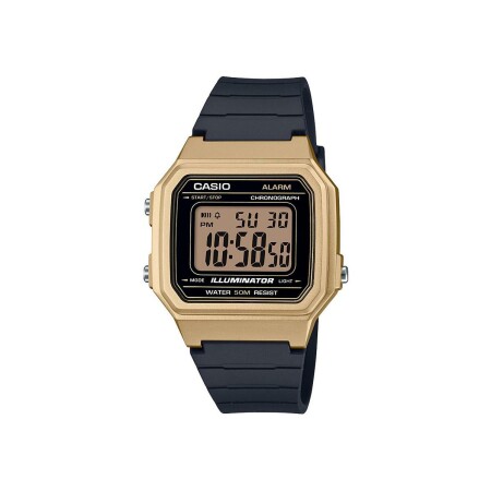 Montre Casio Collection W-217HM-9AVEF