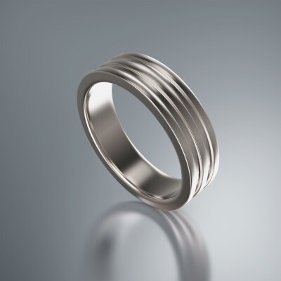 Platinum 6mm Flat Double Stepped Ring