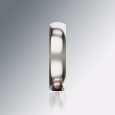 Platinum 6mm Halfround Ring