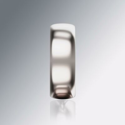 Platinum 8mm Halfround Ring