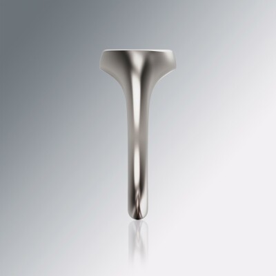 Platinum 10mm Signet Round Ring