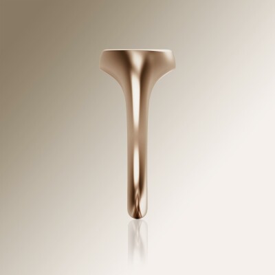 Rose Gold 10mm Signet Round Ring