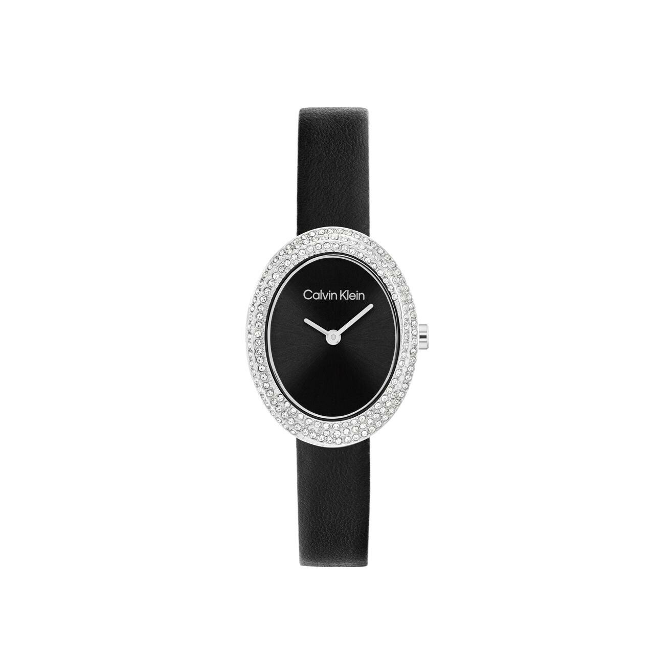 Montre Calvin Klein Distinctive Icons 25100145 vue 1