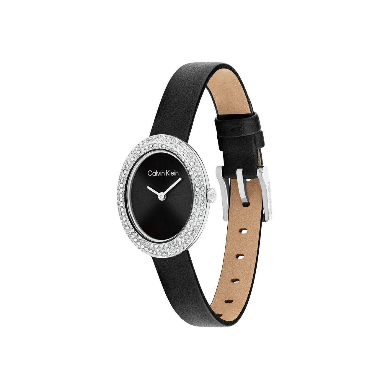 Montre Calvin Klein Distinctive Icons 25100145 vue 2