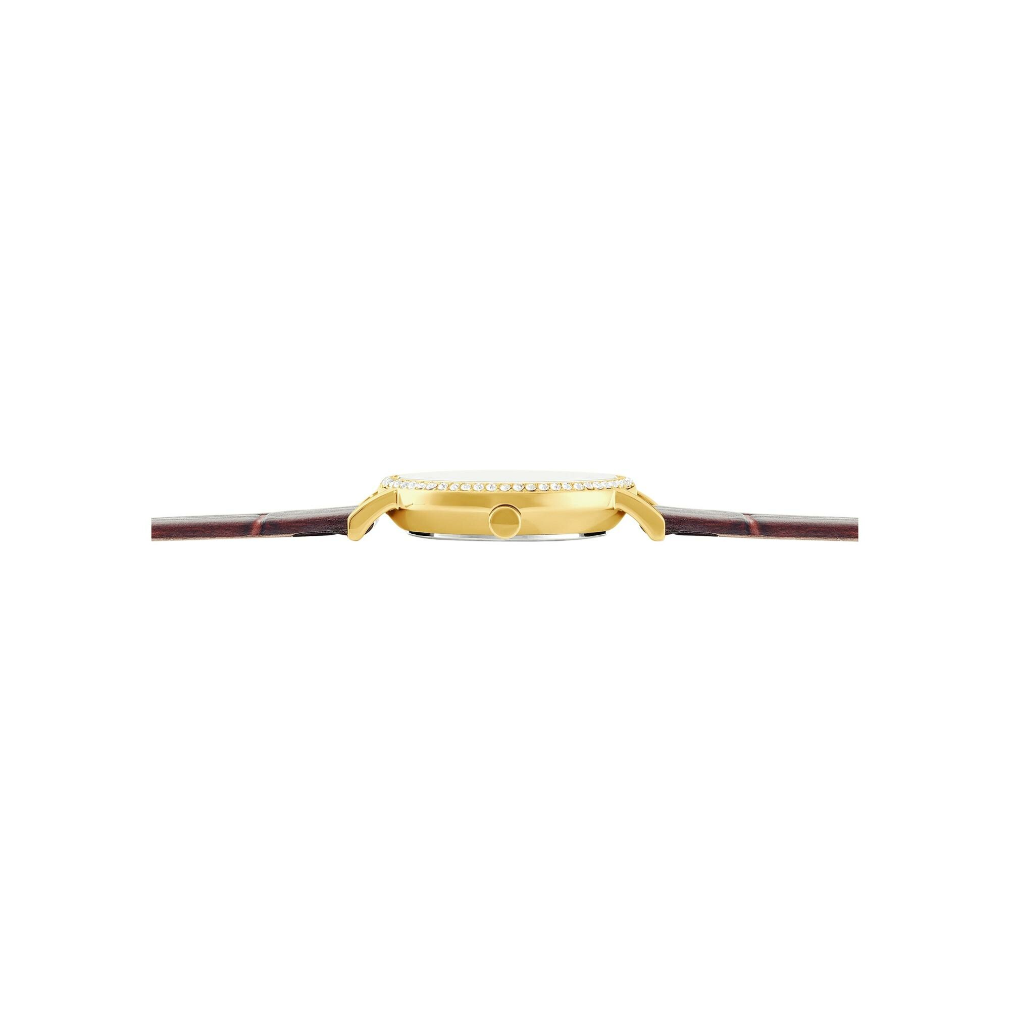 Montre Clyda Justine  CLA826DWR vue 4