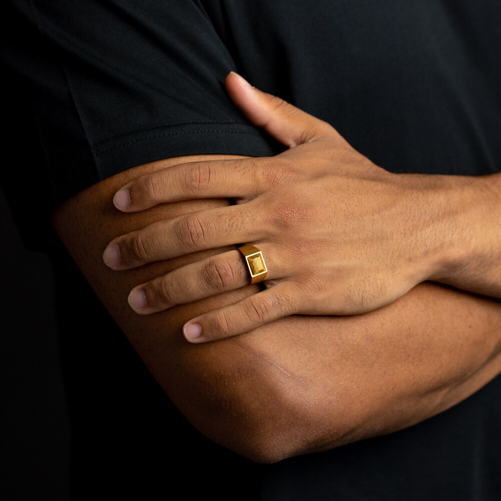 Bague Gemini Classics en titane et œil de tigre vue 2