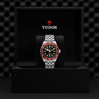 TUDOR Black Bay watch, 41mm steel case, Steel bracelet view 4