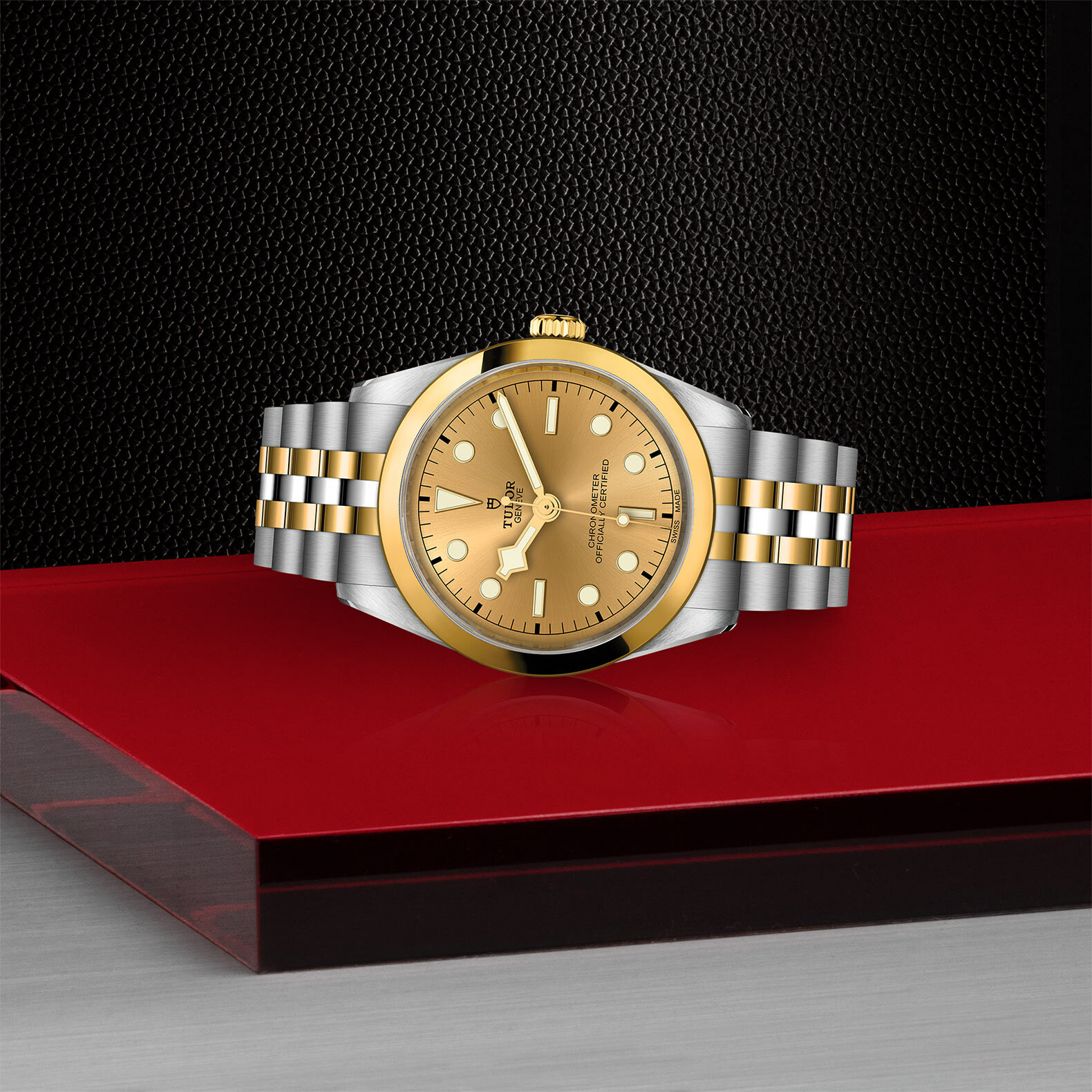 Purchase TUDOR Black Bay 36 SG watch, 36 mm steel case, Steel and yellow  gold bracelet