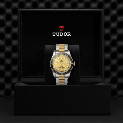 TUDOR Black Bay S&G watch, 41 mm steel case, steel and gold bracelet view 4