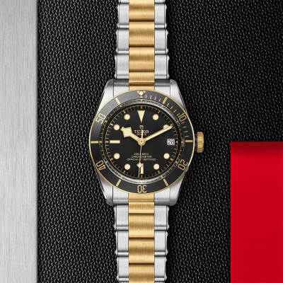 TUDOR Black Bay S&G watch, 41 mm steel case, steel and gold bracelet view 2