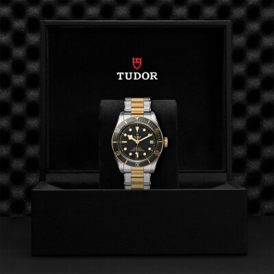 TUDOR Black Bay S&G watch, 41 mm steel case, steel and gold bracelet view 4