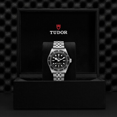 TUDOR Black Bay watch, 41mm steel case, steel bracelet view 4