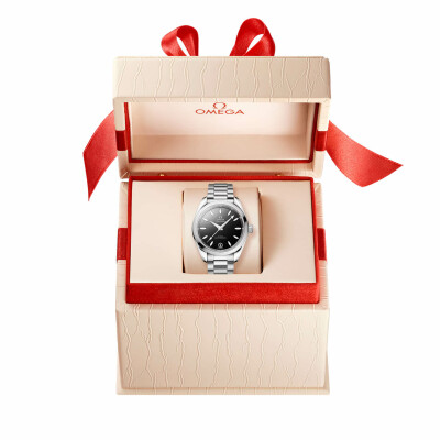 Montre OMEGA Seamaster Aqua Terra 150M Co-Axial Master Chronometer 34mm 22010342001001 vue 6