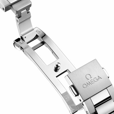 Montre OMEGA Seamaster Aqua Terra 150M Co-Axial Master Chronometer 34mm 22010342001001 vue 4