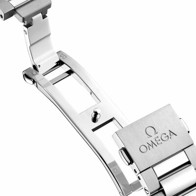 Montre OMEGA Seamaster Aqua Terra 150M 41mm 22010412101002 vue 5