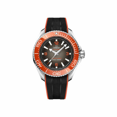 Montre OMEGA Seamaster Planet Ocean 6000M Ultra Deep Co-Axial Master Chronometer 45,5mm vue 1