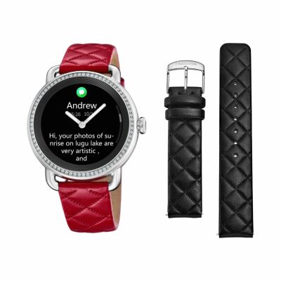 Montre Festina Historique F50000/3