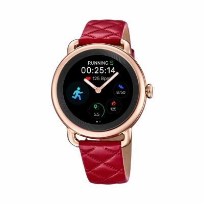 Montre Festina Smartwatch F50001/3