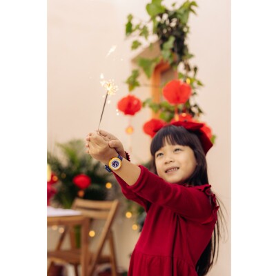 Montre Flik Flak Year Of The Horse