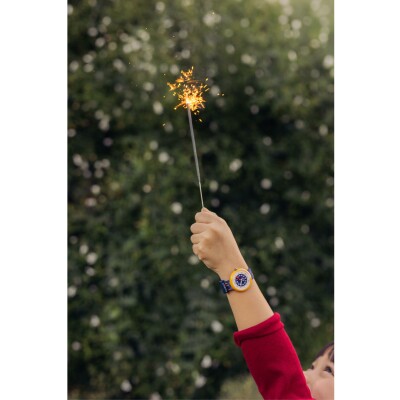 Montre Flik Flak Year Of The Horse