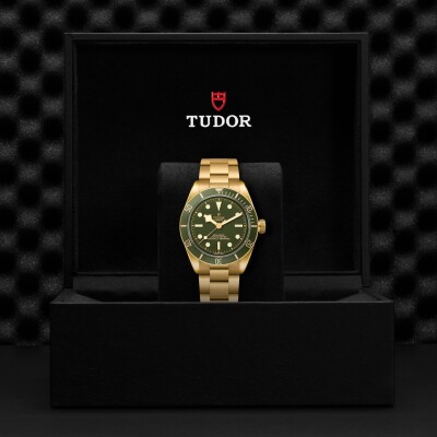 TUDOR Black Bay 58 18K watch, 39mm yellow gold case, yellow gold bracelet