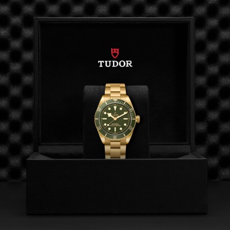 Montre TUDOR Black Bay 58 18K, boîtier en or jaune, 39 mm, bracelet en or jaune