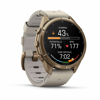 Garmin fēnix® 9 inReach® 43mm 010-04335-41 watch