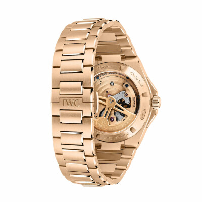 Montre IWC Schaffhausen Ingenieur Tourbillon 41