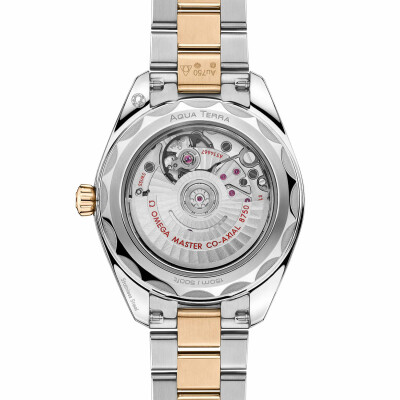 Montre OMEGA Seamaster Aqua Terra 150M Co-Axial Master Chronometer 30mm 22020302002001