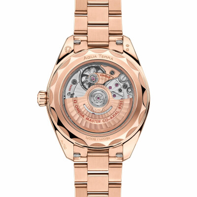 Montre OMEGA Seamaster Aqua Terra 150M Co-Axial Master Chronometer 30mm