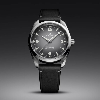 OMEGA Seamaster Railmaster Co‑Axial Master Chronometer 38mm watch