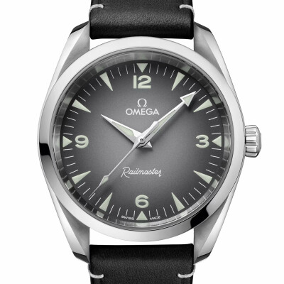 OMEGA Seamaster Railmaster Co‑Axial Master Chronometer 38mm watch