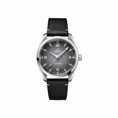 OMEGA Seamaster Railmaster Co‑Axial Master Chronometer 38mm watch