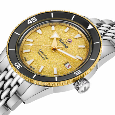 Montre RADO Captain Cook Automatic R32223258